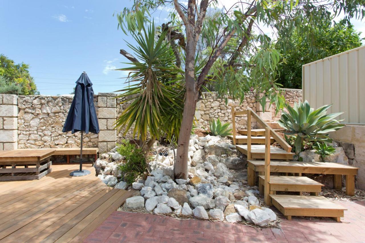 Dingo At White Gum Lodge Fremantle Zewnętrze zdjęcie