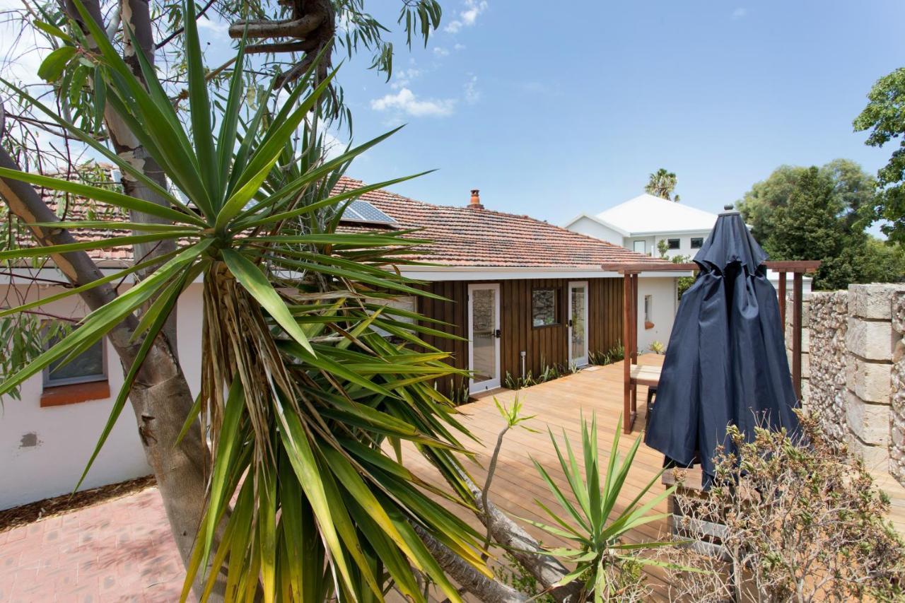 Dingo At White Gum Lodge Fremantle Zewnętrze zdjęcie